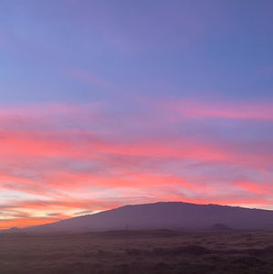 Meet your Posher, Kae-lee